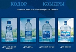 РАБОЧАЯ  ГРУППА МИНЭКОНОМИКИ ПО ПЕРВИЧНОМУ ОТБОРУ ИНВЕСТИЦИОННЫХ ПРОЕКТОВ ПОДДЕРЖАЛА ПРОЕКТЫ  "СУХУМСКОЙ  РИВЬЕРЫ" И  "АКВА-СЕРВИСА"