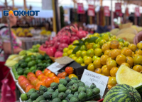 ВВОЗ РОССИЮ АБХАЗСКОЙ СЕЛЬХОЗПРОДУКЦИИ В РОССИЮ УВЕЛИЧИЛСЯ ЗА ГОД В ПОЛТОРА РАЗА