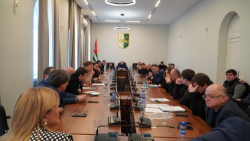 В ПАРЛАМЕНТЕ ПРОДОЛЖИЛОСЬ ОБСУЖДЕНИЕ ТОПЛИВНЫХ ПОСТАВОК